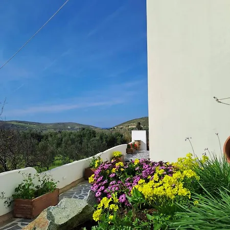Apartment Naxos Olive & Engaraí
