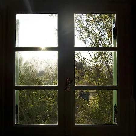 アパート Naxos Olive & *