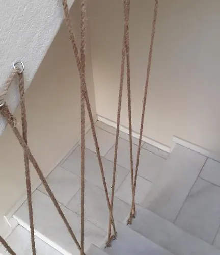 Naxos Olive & Εγκαρές