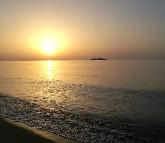 Διαμέρισμα Naxos Olive & Εγκαρές