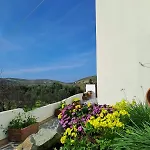 Appartement Naxos Olive & Engaraí