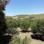 Naxos Olive &