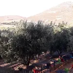 Naxos Olive & Apartamento *