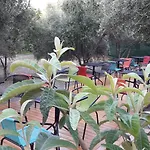 Naxos Olive & Apartamento Engaraí