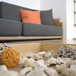 Naxos Olive & Apartment Engares