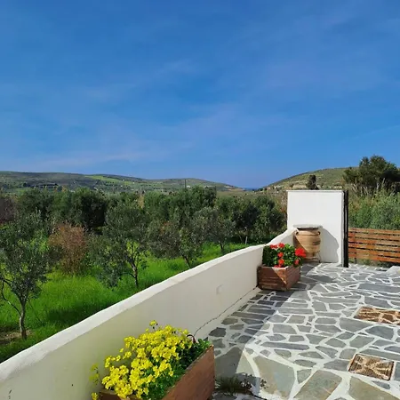 Naxos Olive & Apartamento