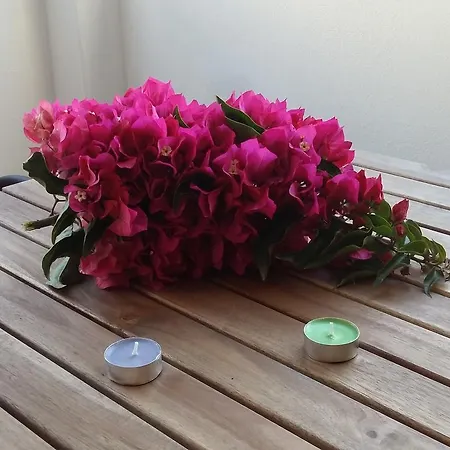 Naxos Olive & Apartamento