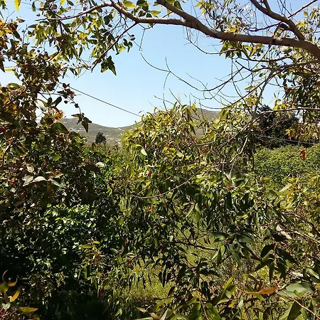 Appartement Naxos Olive &