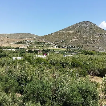 Apartamento Naxos Olive & *