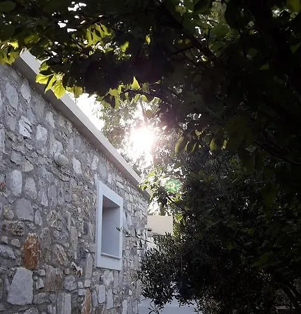 Naxos Olive & *