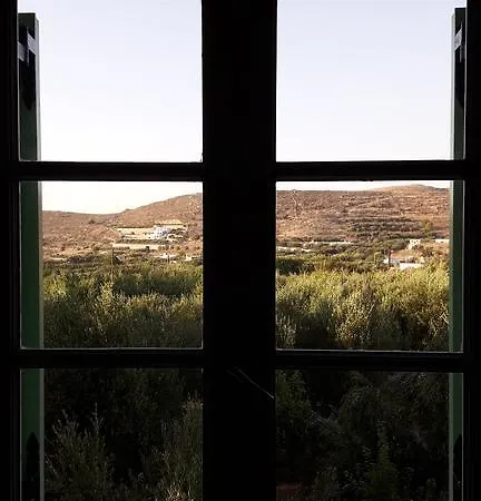Naxos Olive & Appartement