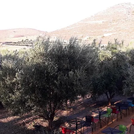 Naxos Olive & Appartement *