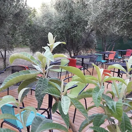 Naxos Olive & Appartement Engaraí