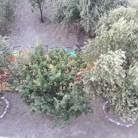 Naxos Olive & *