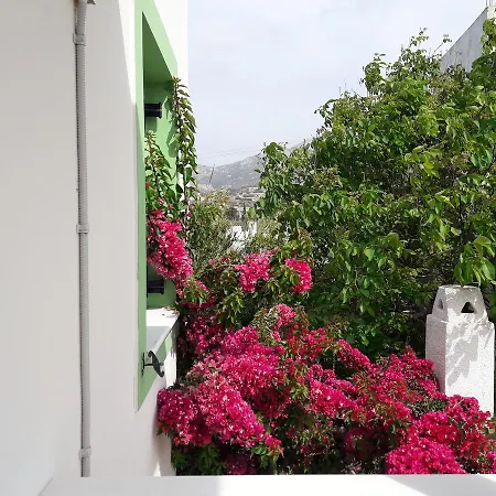 Appartement Naxos Olive &