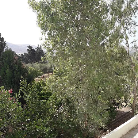 Naxos Olive & Apartamento *