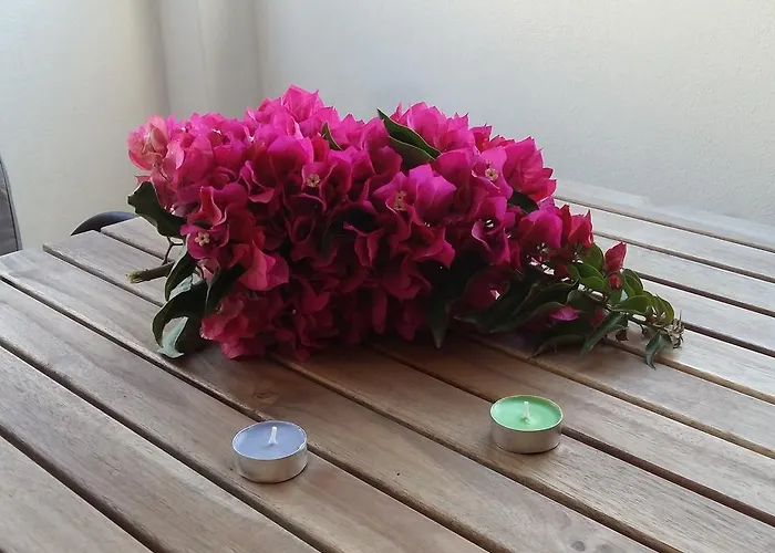 Naxos Olive & Apartament