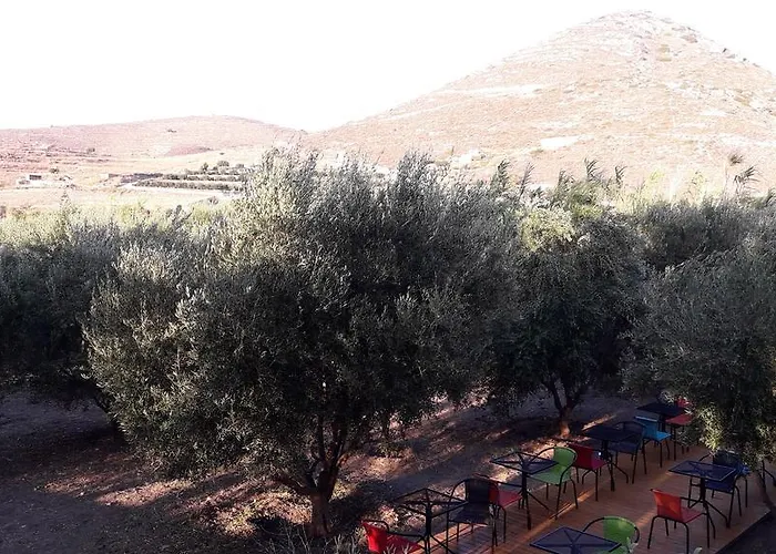 Naxos Olive & Апартаменты *