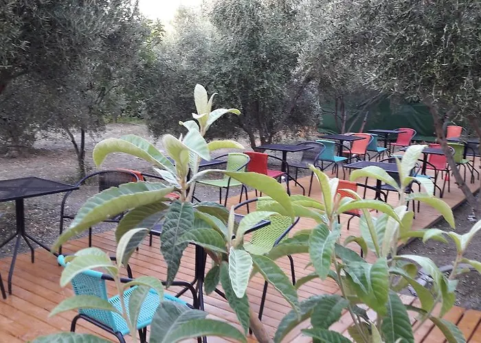 Naxos Olive & Lejlighed Engaraí