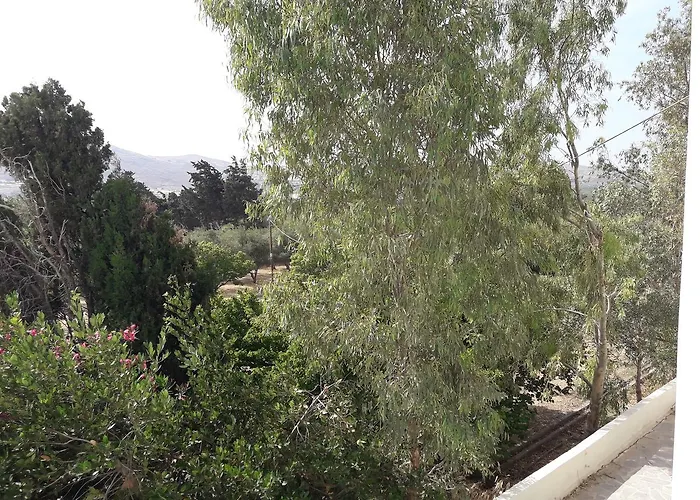 Naxos Olive & Апартаменты *